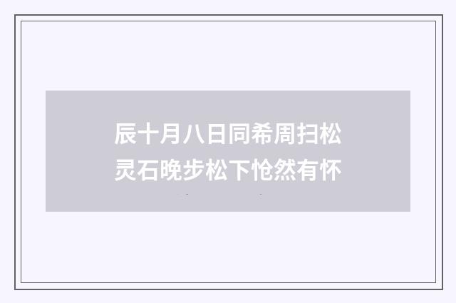 辰十月八日同希周扫松灵石晚步松下怆然有怀
