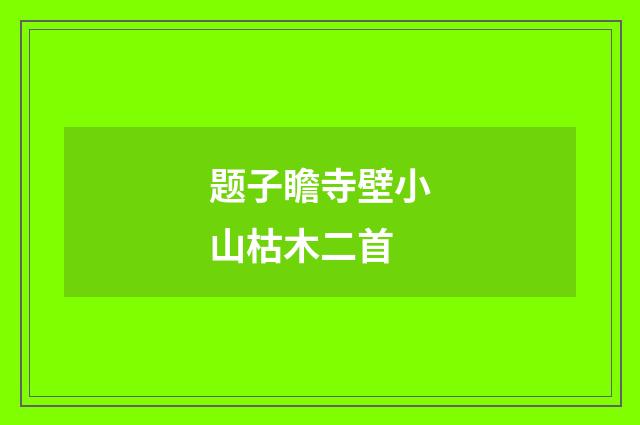 题子瞻寺壁小山枯木二首