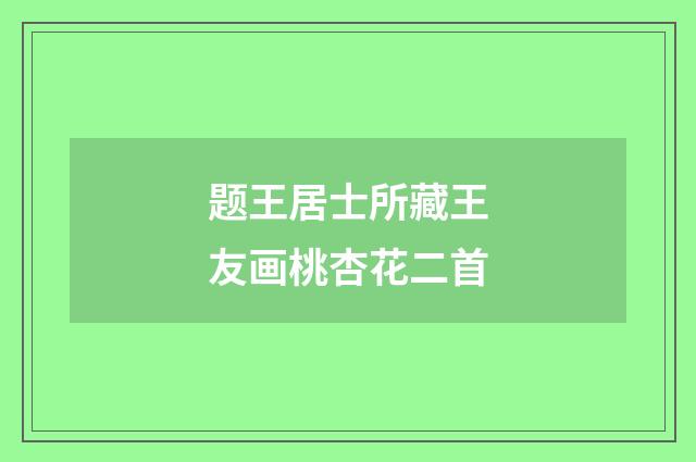 题王居士所藏王友画桃杏花二首