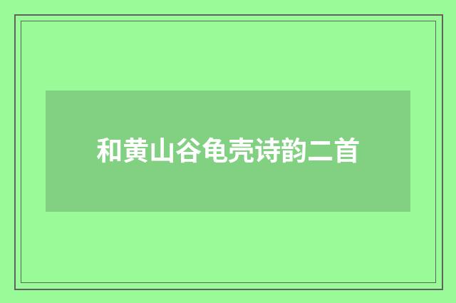 和黄山谷龟壳诗韵二首