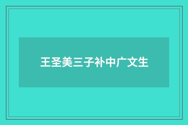王圣美三子补中广文生