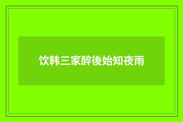 饮韩三家醉後始知夜雨