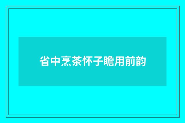 省中烹茶怀子瞻用前韵