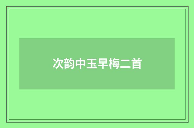 次韵中玉早梅二首