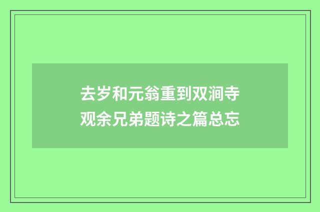 去岁和元翁重到双涧寺观余兄弟题诗之篇总忘