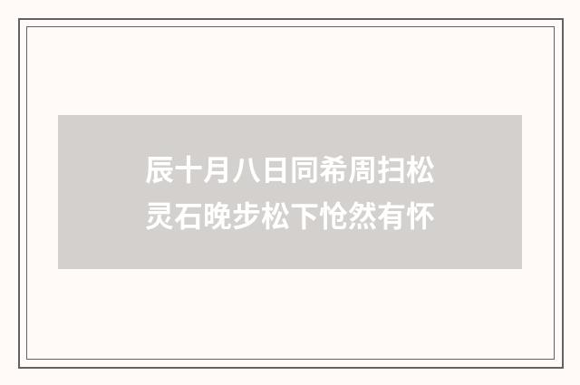 辰十月八日同希周扫松灵石晚步松下怆然有怀