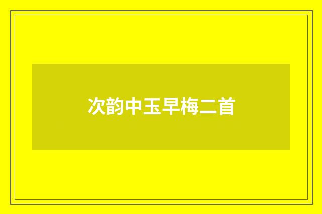 次韵中玉早梅二首