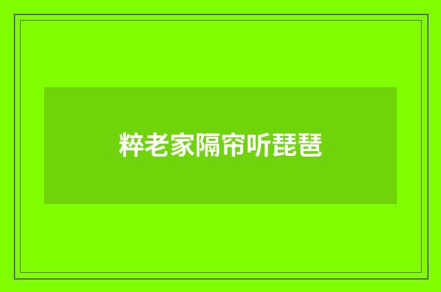 粹老家隔帘听琵琶