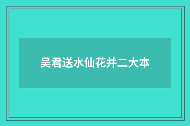 吴君送水仙花并二大本
