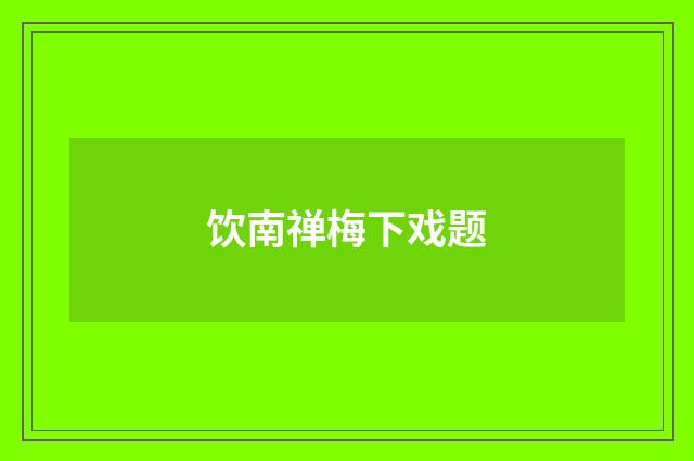 饮南禅梅下戏题