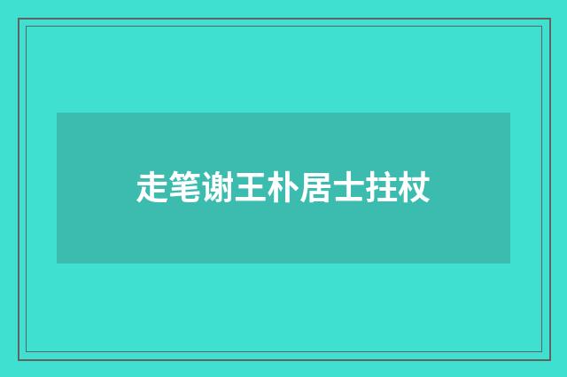 走笔谢王朴居士拄杖