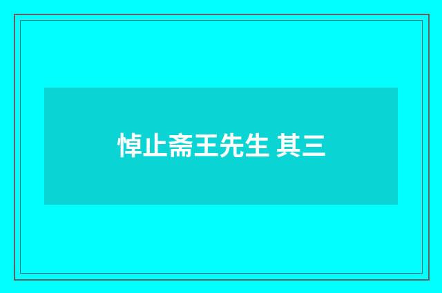 悼止斋王先生 其三