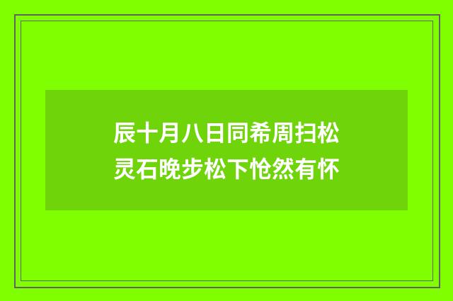 辰十月八日同希周扫松灵石晚步松下怆然有怀
