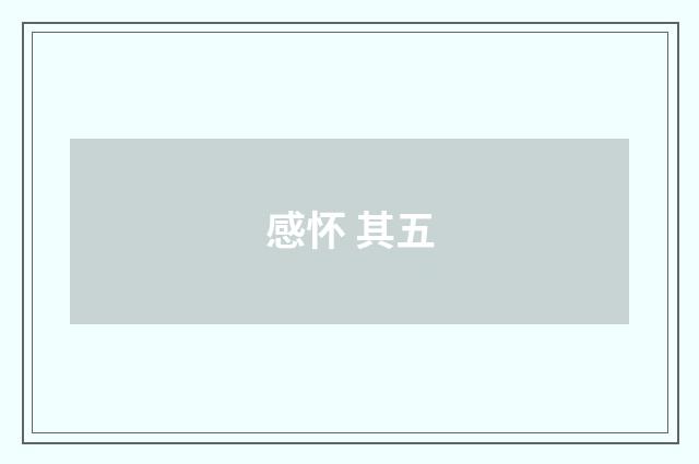 感怀 其五