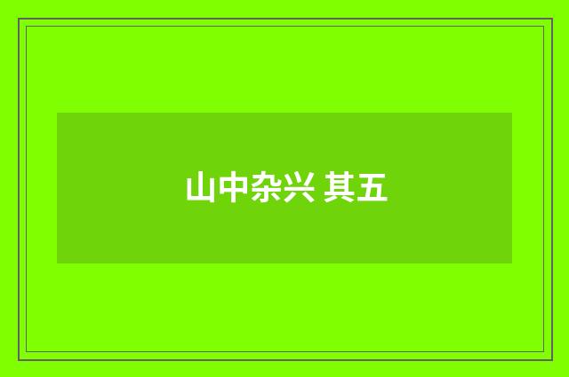 山中杂兴 其五