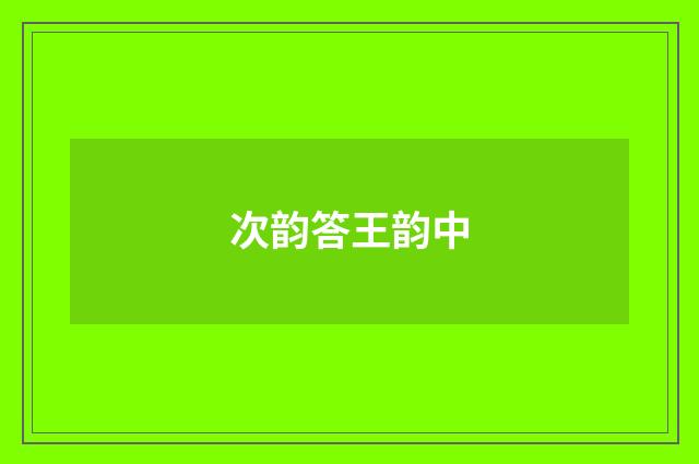 次韵答王韵中
