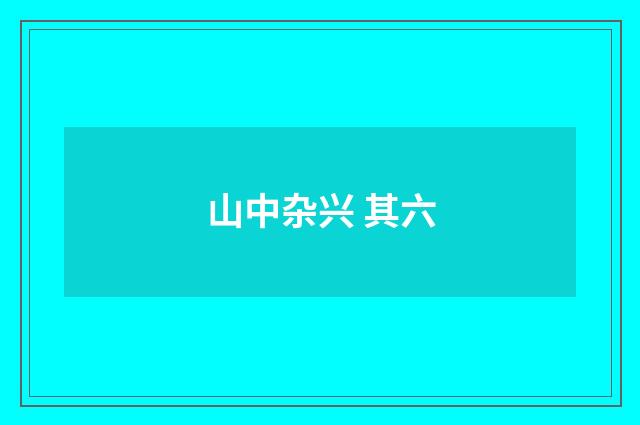 山中杂兴 其六