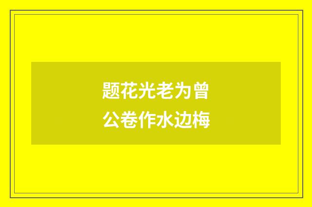 题花光老为曾公卷作水边梅