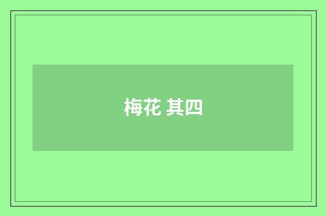 梅花 其四