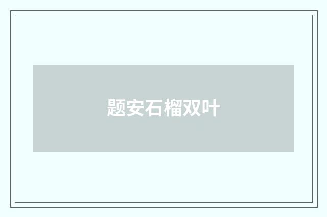 题安石榴双叶