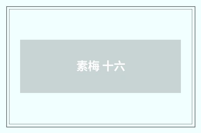 素梅 十六