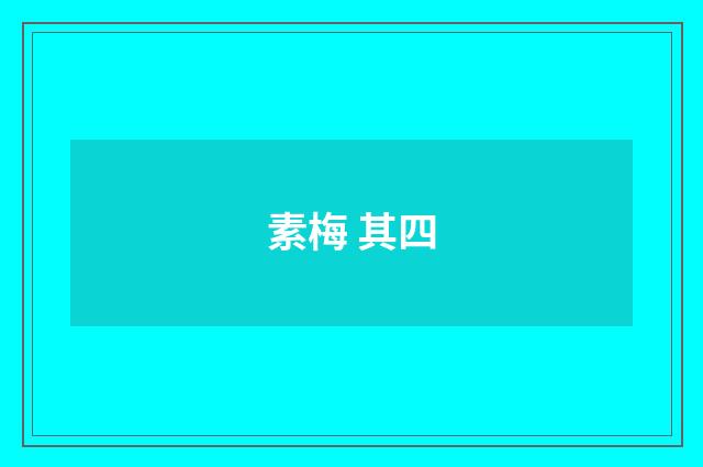 素梅 其四