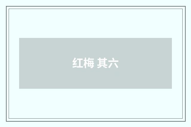 红梅 其六