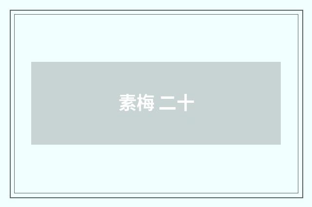 素梅 二十