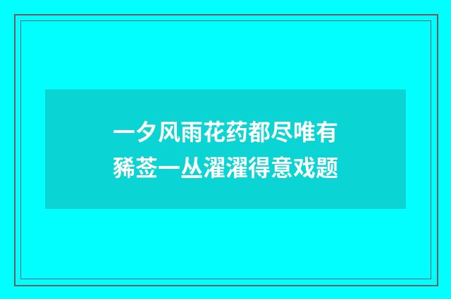 一夕风雨花药都尽唯有豨莶一丛濯濯得意戏题