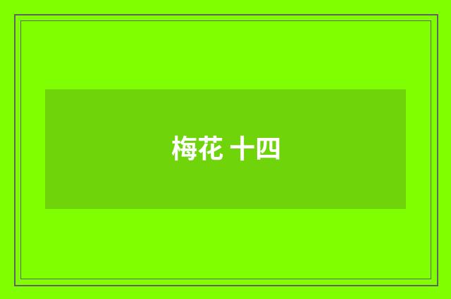 梅花 十四