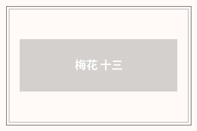 梅花 十三