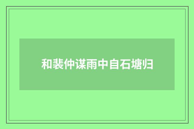 和裴仲谋雨中自石塘归