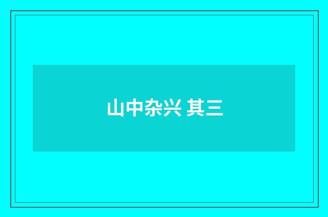 山中杂兴 其三
