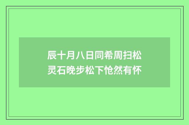 辰十月八日同希周扫松灵石晚步松下怆然有怀