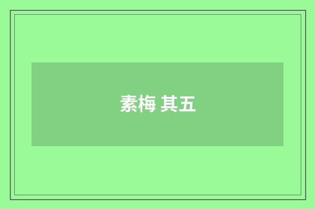 素梅 其五