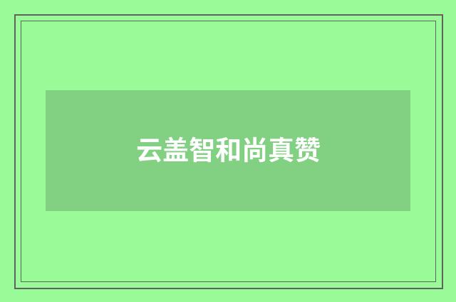 云盖智和尚真赞