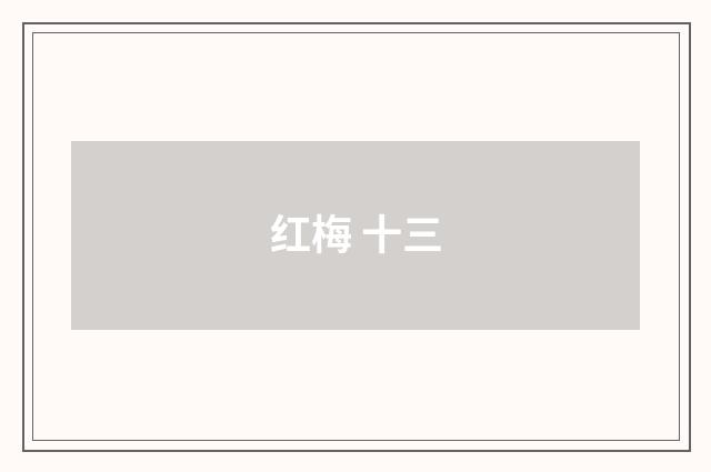 红梅 十三