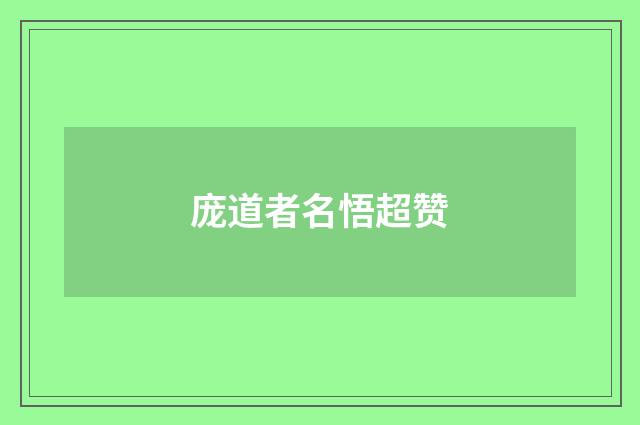 庞道者名悟超赞