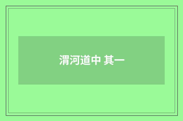 渭河道中 其一