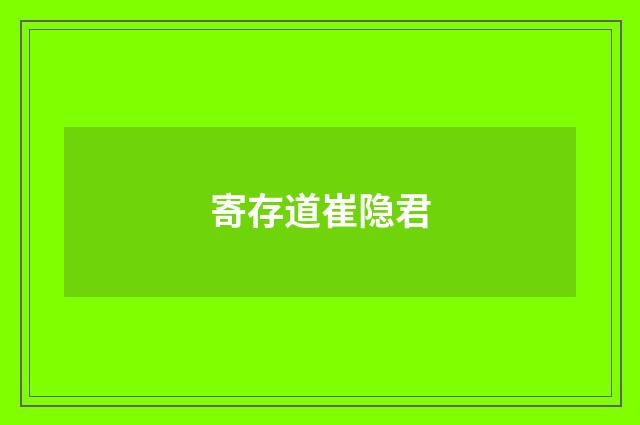 寄存道崔隐君