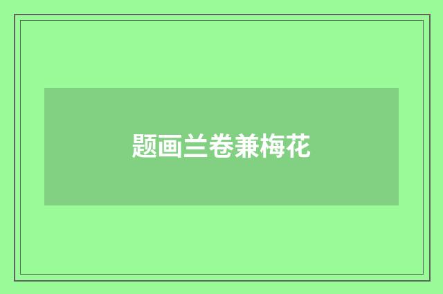题画兰卷兼梅花