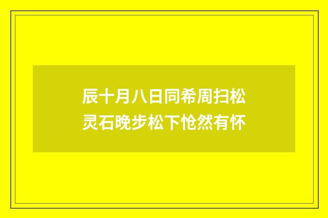 辰十月八日同希周扫松灵石晚步松下怆然有怀