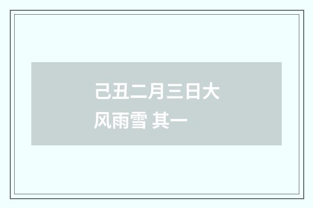 己丑二月三日大风雨雪 其一