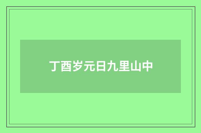 丁酉岁元日九里山中