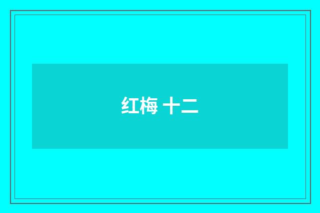 红梅 十二