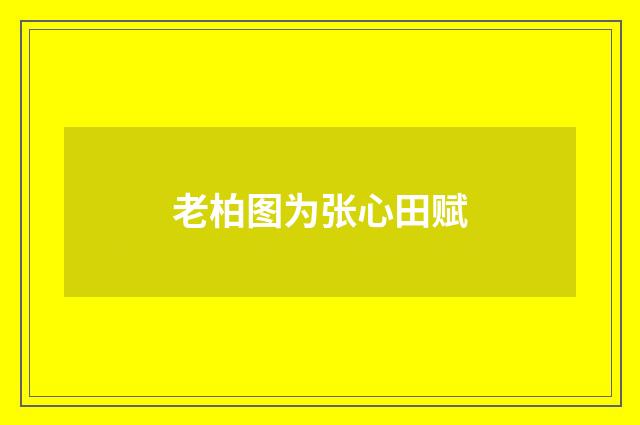 老柏图为张心田赋