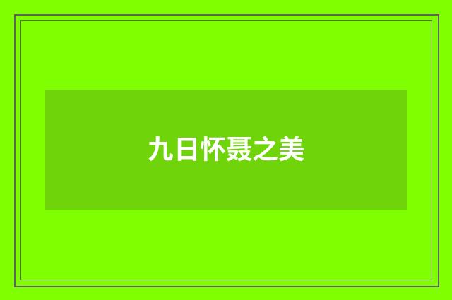 九日怀聂之美