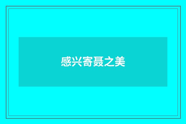 感兴寄聂之美