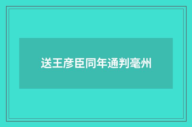送王彦臣同年通判毫州