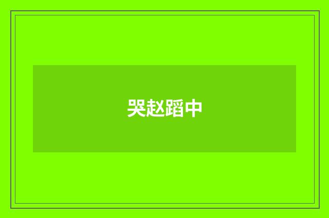 哭赵蹈中